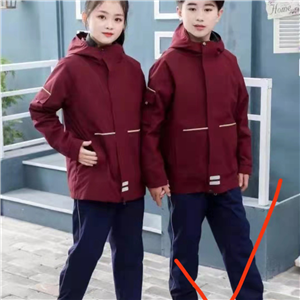 小學(xué)系列冬