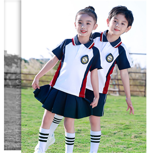 小學(xué)系列夏