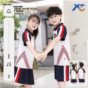 小學(xué)系列夏