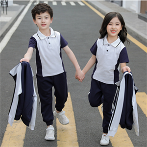 小學(xué)系列夏