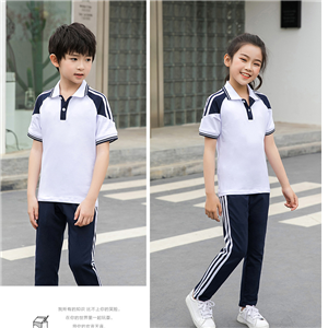 小學(xué)系列夏